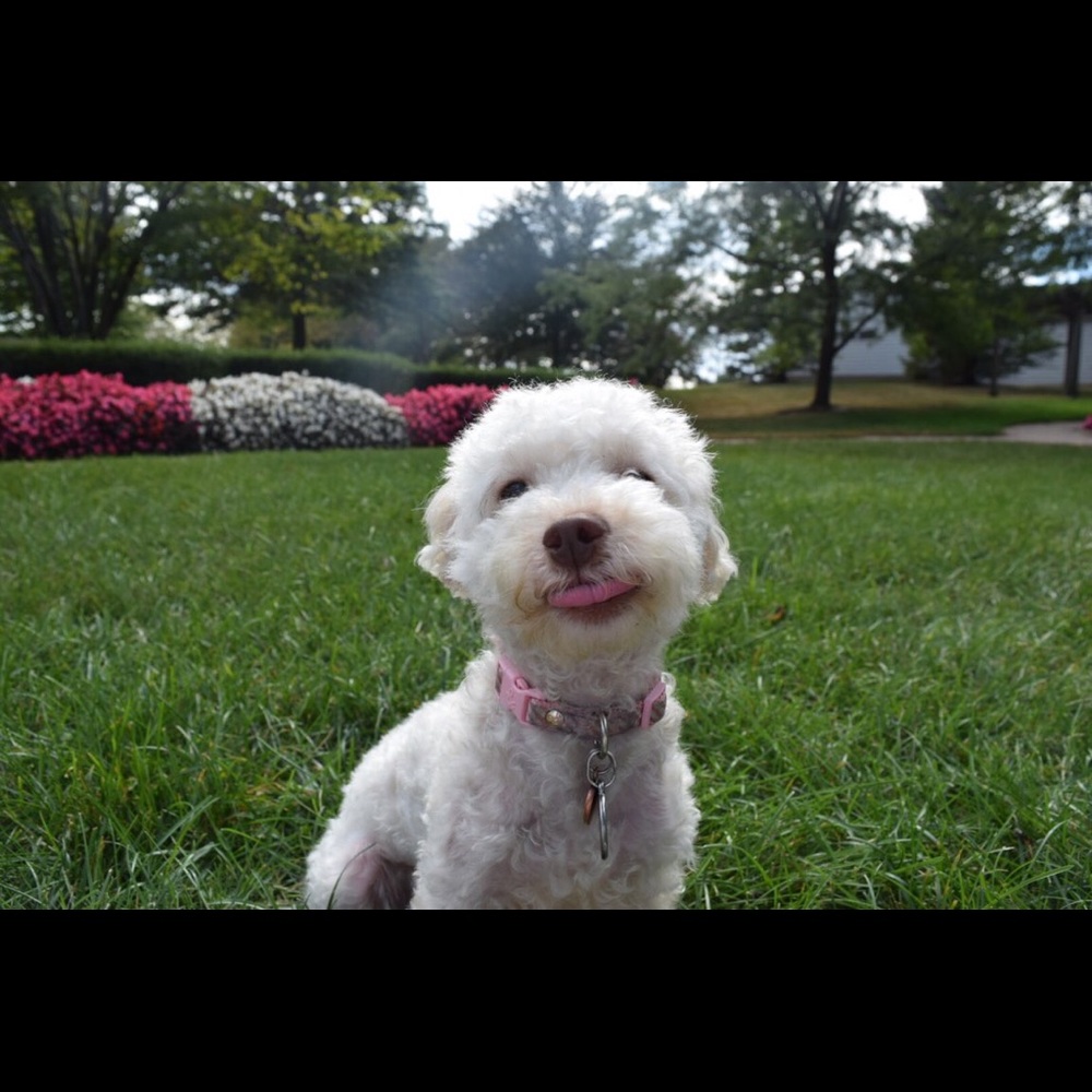 Meet your Posher, Sandra